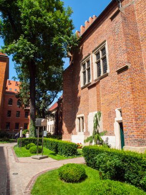 University garden in Krakow clipart