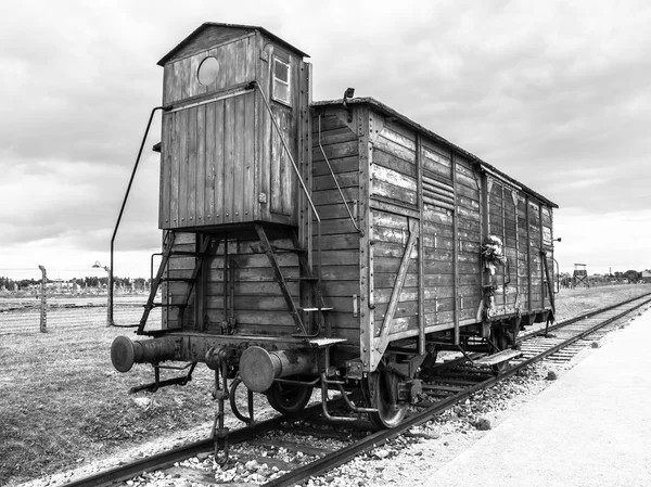 Carro de transporte en el campo de concentración — Foto de Stock