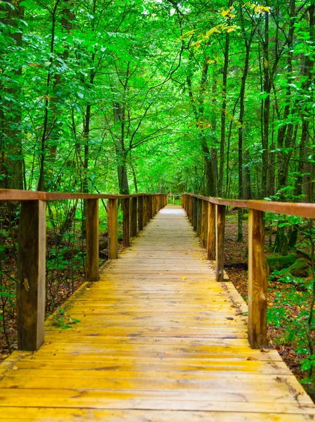 Wooden path — Stock Photo, Image