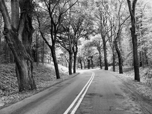 国の道路の路地 — ストック写真