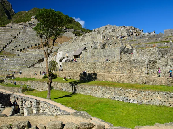 Vista inusual de las terrazas de Machu Picchu —  Fotos de Stock