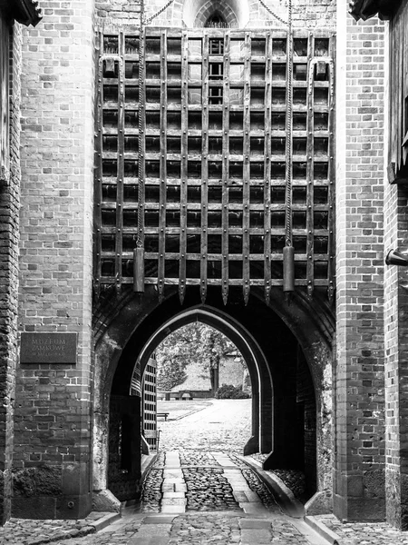 Puerta medieval del castillo — Foto de Stock