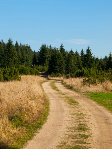 Country road — Stock Photo, Image