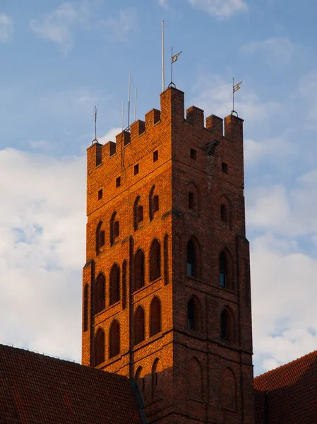 La tour principale du château de Malbork — Photo