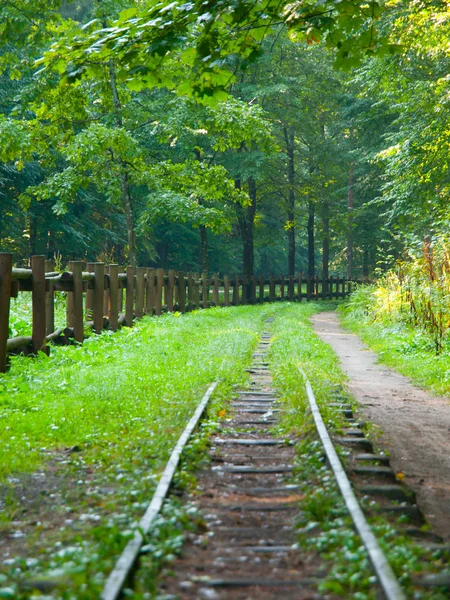 Railway in the forest — Stock Photo, Image