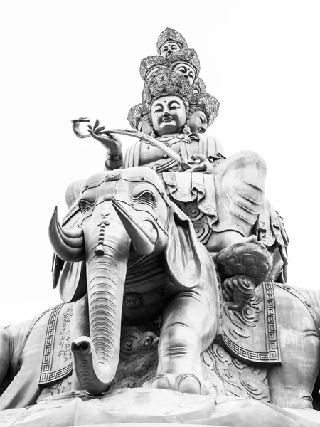 Buda de oro en el monte Emei —  Fotos de Stock