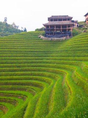 Wooden house on Rice Terraces clipart