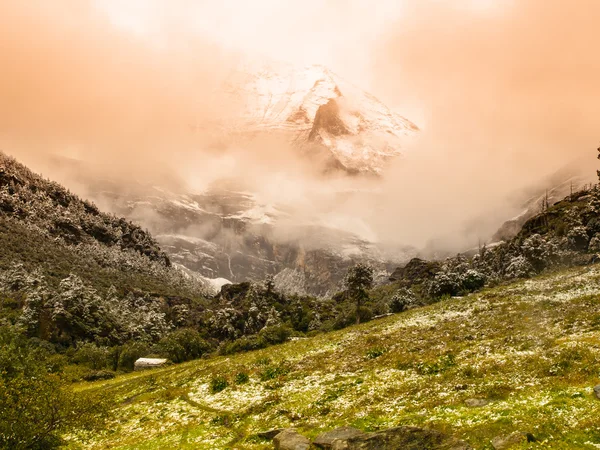 Höga bergstoppen täcks med fog — Stockfoto