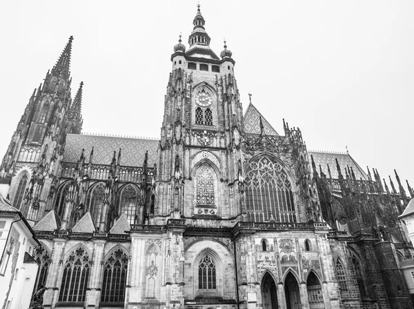 St. vitus cathédrale à prague — Photo
