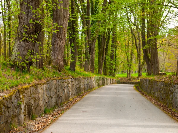 Park road with walls and trees around — Stock Photo, Image