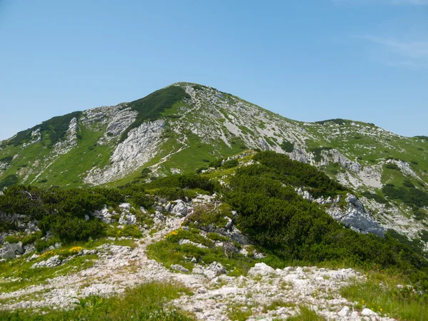 Julian Alps doruklarına — Stok fotoğraf