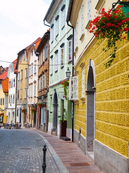 Maisons colorées de Ljubljana — Photo