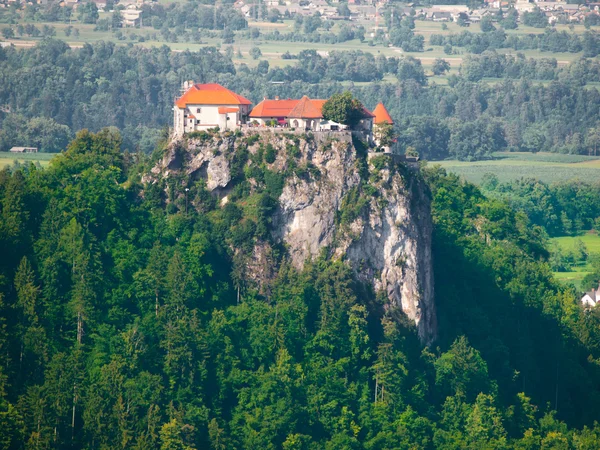 Bled hrad — Stock fotografie