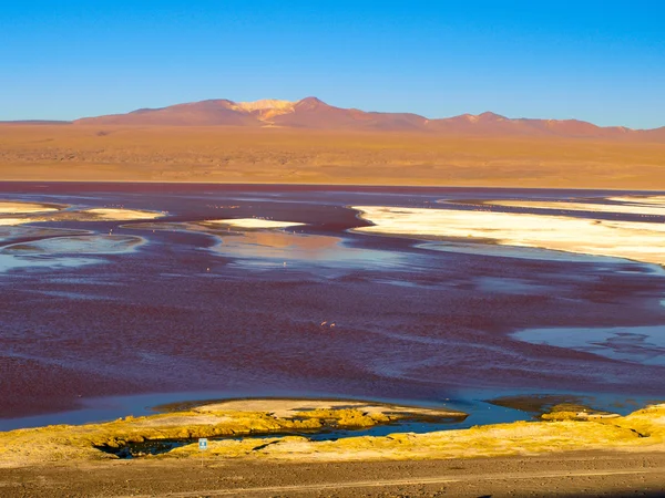 Laguna Colorada en Cordillera de Lipez —  Fotos de Stock