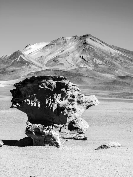 Formation rocheuse arbre pierre — Photo