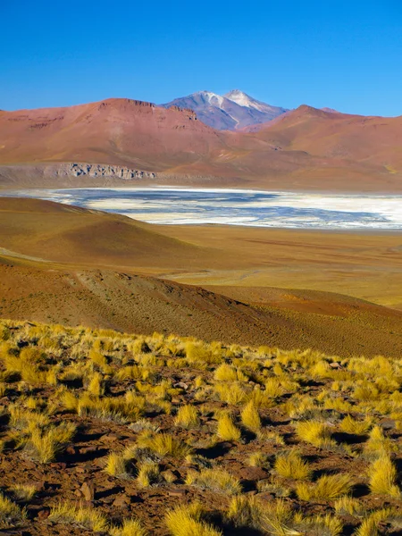 Лагуна Morejon в Cordillera de Lipez — стокове фото