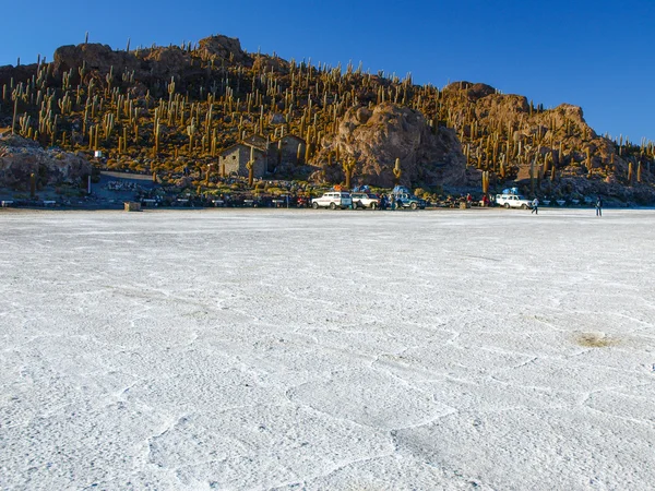 Isla Incahuasi on Salar de Uyuni — Stock Photo, Image