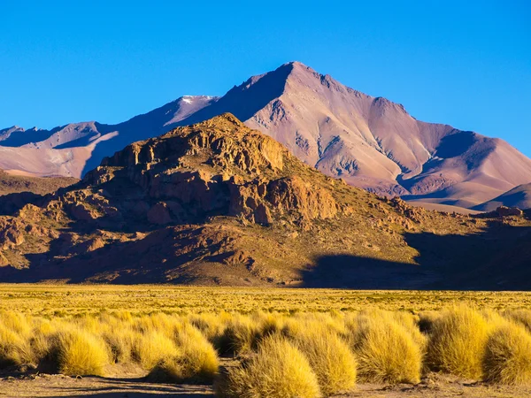 Горный пейзаж Кордильеры-де-Липес в Боливии — стоковое фото