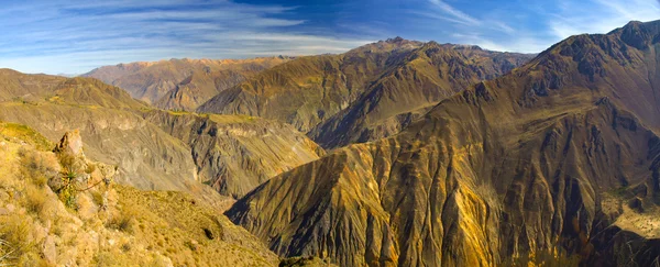 Colca Kanyonu Panoraması — Stok fotoğraf