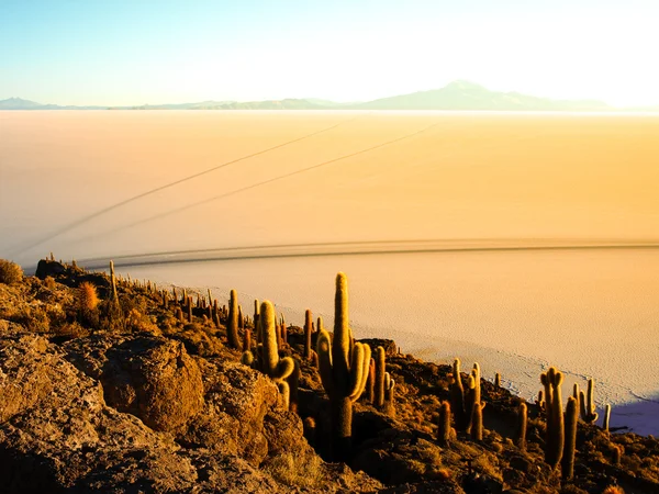 日の出とウユニ塩プレーン — ストック写真