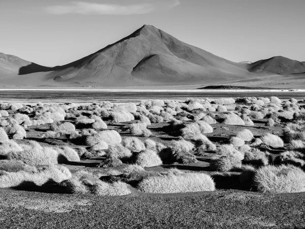Picos de montanha em Laguna Colorada na Bolívia — Fotografia de Stock
