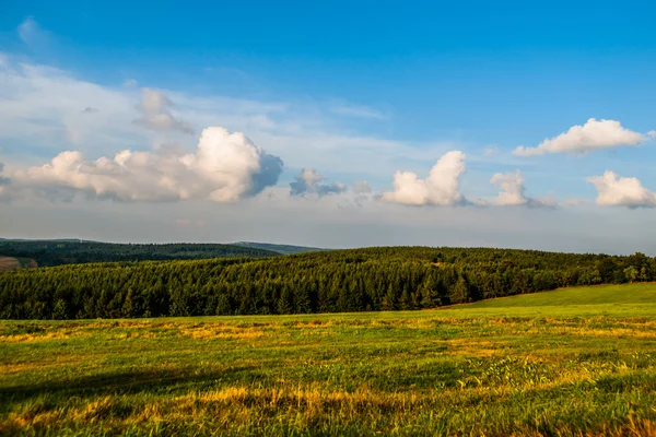 Summer mountain landscape — Stock Photo, Image