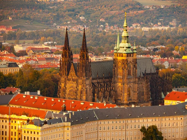 St. Vitus Katedrali Prag Kalesi üzerinde — Stok fotoğraf