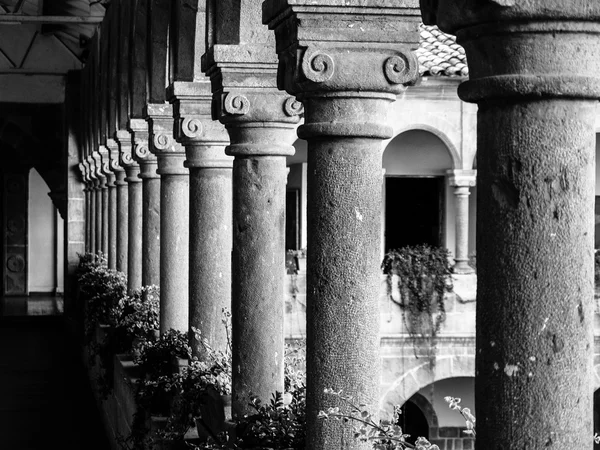 Rangée de colonnes en noir et blanc — Photo