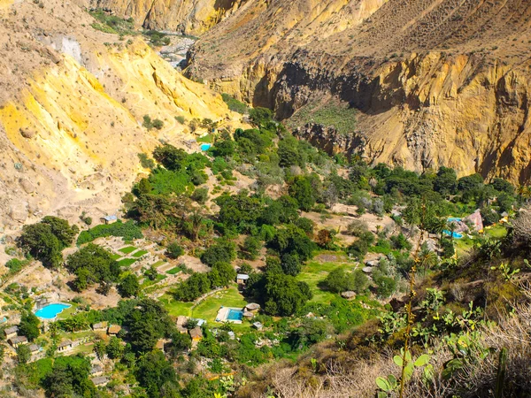Oasi verde sul fondo del Canyon del Colca in Perù — Foto Stock