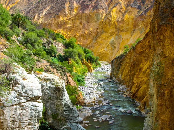 Colca nehir kanyonun dibinde — Stok fotoğraf