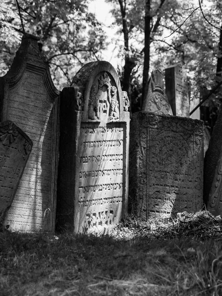 Pierres tombales dans le cimetière juif — Photo