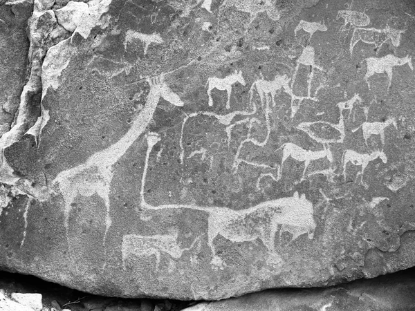 Gravuras de Bushman pré-históricas em Twyfelfontein, na Namíbia — Fotografia de Stock