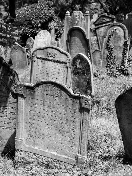 Pierres tombales dans le cimetière juif — Photo