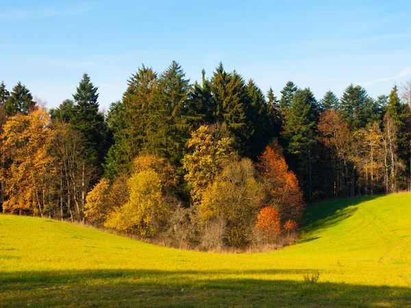 Podzimní louka a Les — Stock fotografie