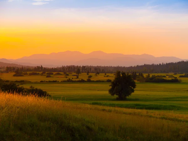 Abend ländliche Landschaft — Stockfoto