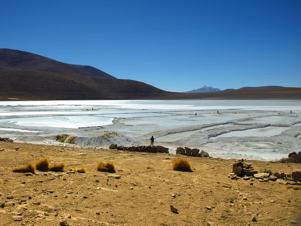 Mines de Borax dans la lagune andine — Photo