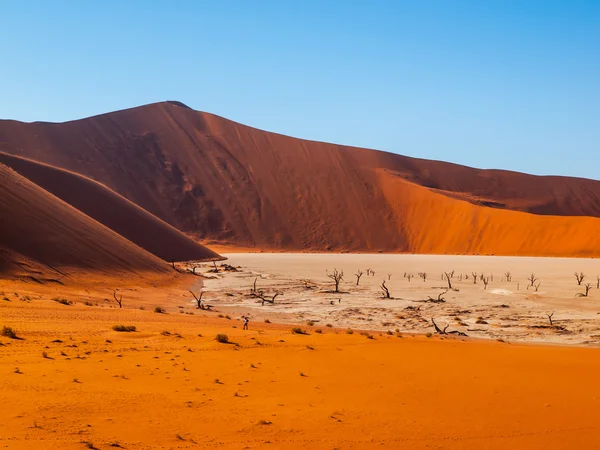 Dolina śmierci w Namibii Sossusvlei — Zdjęcie stockowe