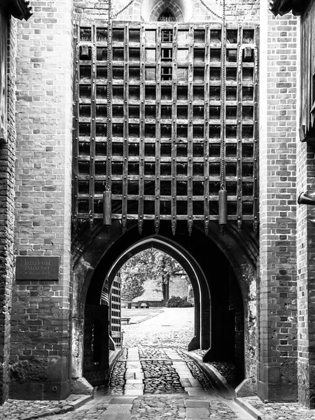 Puerta medieval del castillo con barras de hierro —  Fotos de Stock