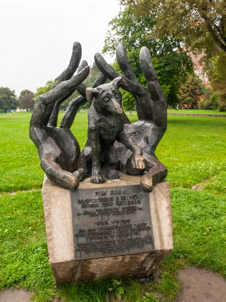 Dzok la statua del cane a Cracovia — Foto Stock