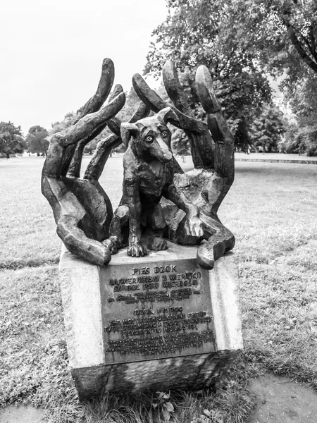 Dzok köpek heykeli Krakow — Stok fotoğraf