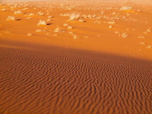 Desert sand bakgrund — Stockfoto