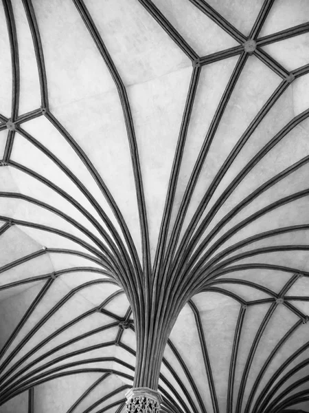 Gothic rib vault ceiling — Stock Photo, Image