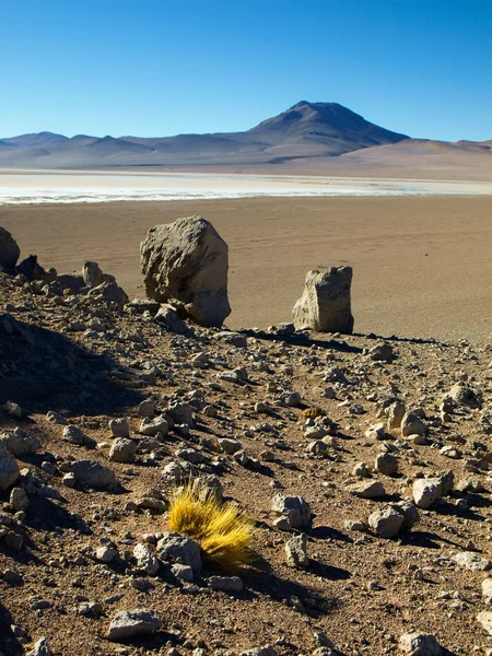 Пейзаж боливийского Альтиплано — стоковое фото