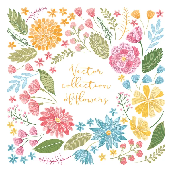 Colección floral dibujada a mano — Vector de stock