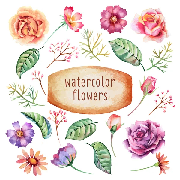 Flores de aquarela —  Vetores de Stock