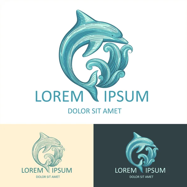 Plantilla de logotipo de delfín — Vector de stock