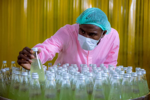 Worker of science in bottle beverage factory wearing safety  hat and face mask show working to check quality of Basil seed produce on conveyer belt before distribution to market business