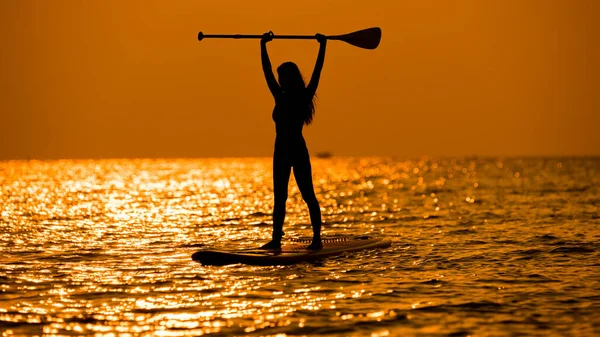 Silhouette sport girl stand up paddling on sup board or surfboard enjoy to play extreme sport on holidays at sunlight beach.