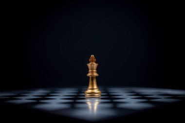 Gümüş takımın satranç tahtası kralı yarışma lideri altın takımın stratejik ve zorlu gelişim oyunu konseptidir..