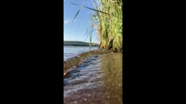 Calmar pequeñas olas en el río en un día soleado de verano primer plano — Vídeo de stock